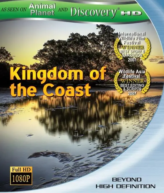 《动物星球之海岸王国》：惊艳海岸风光，揭秘生物生存法则，自然纪录片推荐