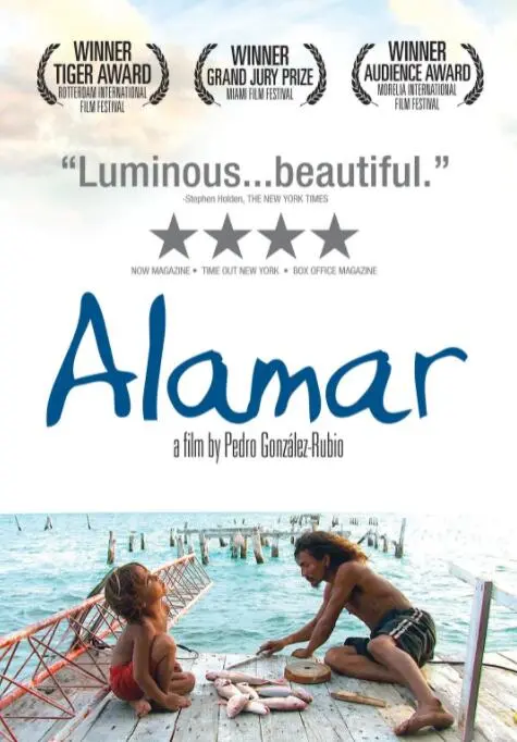 《拥抱大海》影评：一场治愈心灵的蓝色之旅，青春与梦想的交织！