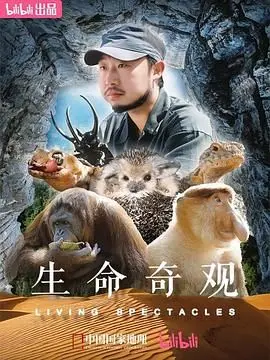 《生命奇观》：当火枪柔情遇上绝境生死，这部电影让你肾上腺素狂飙！
